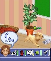 Portfolio pets2