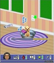 Portfolio pets3